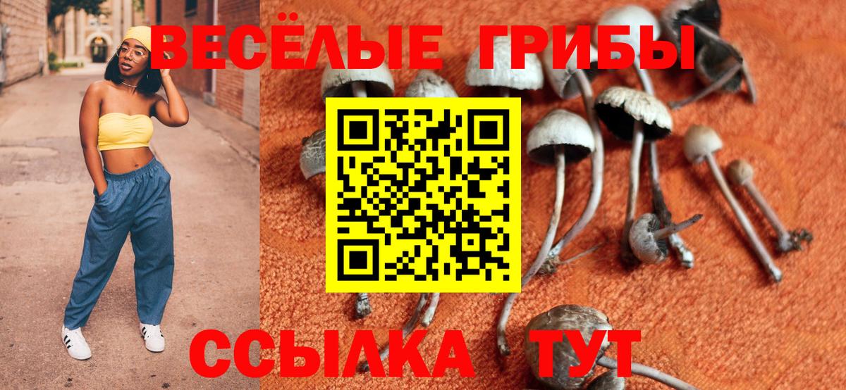 Галлюциногенные грибы Magic Shrooms Коммунар